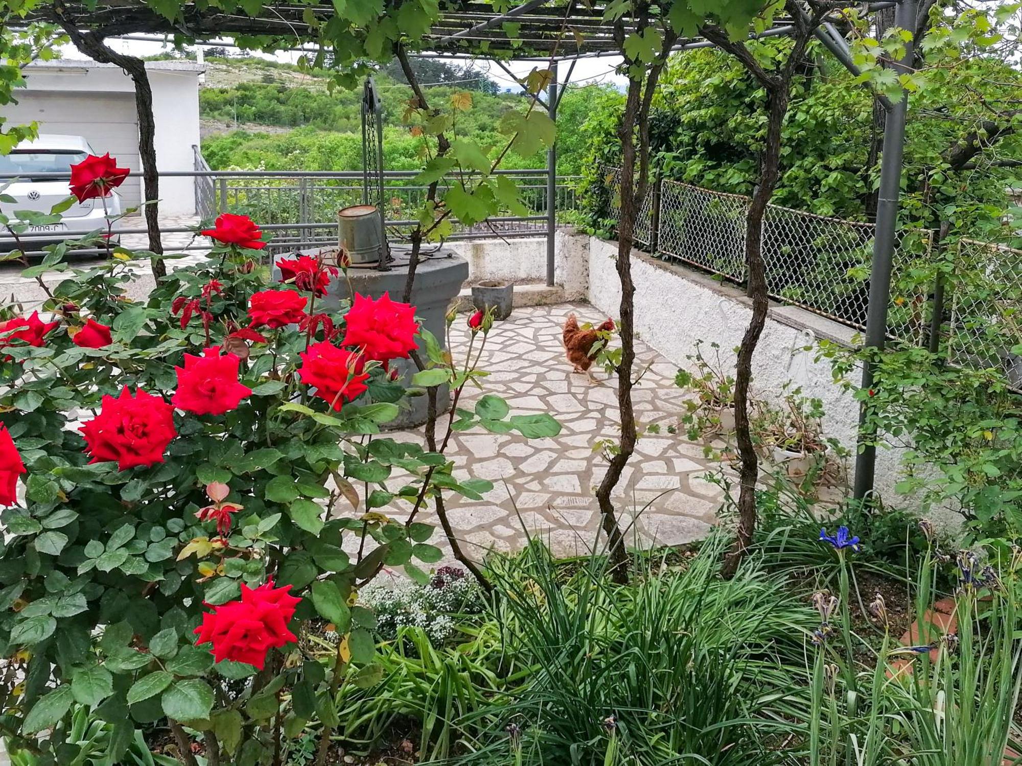 Apartman Lavanda Sa Bazenom I Okucnicom 4* Hreljin Εξωτερικό φωτογραφία