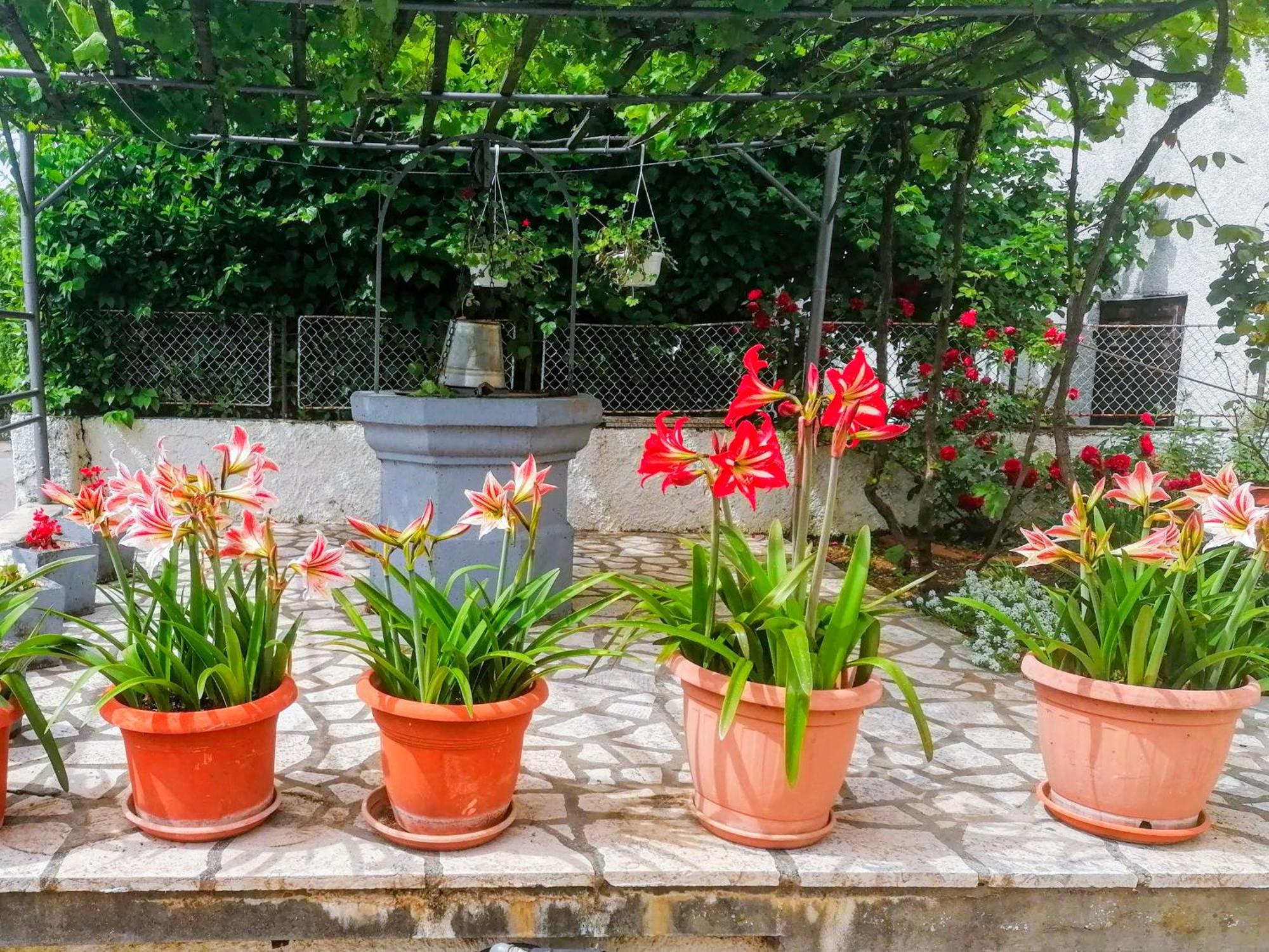 Apartman Lavanda Sa Bazenom I Okucnicom 4* Hreljin Εξωτερικό φωτογραφία