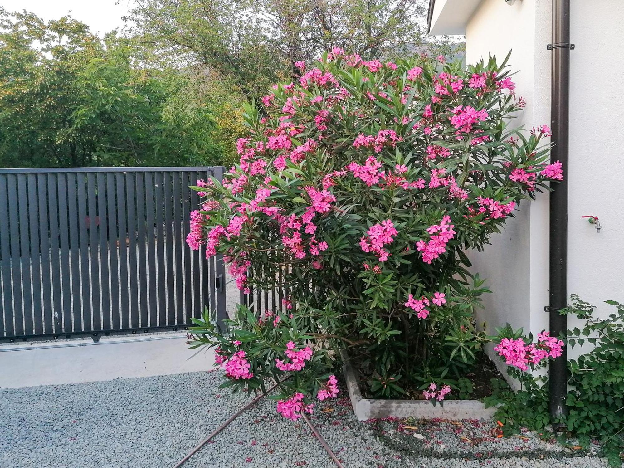 Apartman Lavanda Sa Bazenom I Okucnicom 4* Hreljin Εξωτερικό φωτογραφία