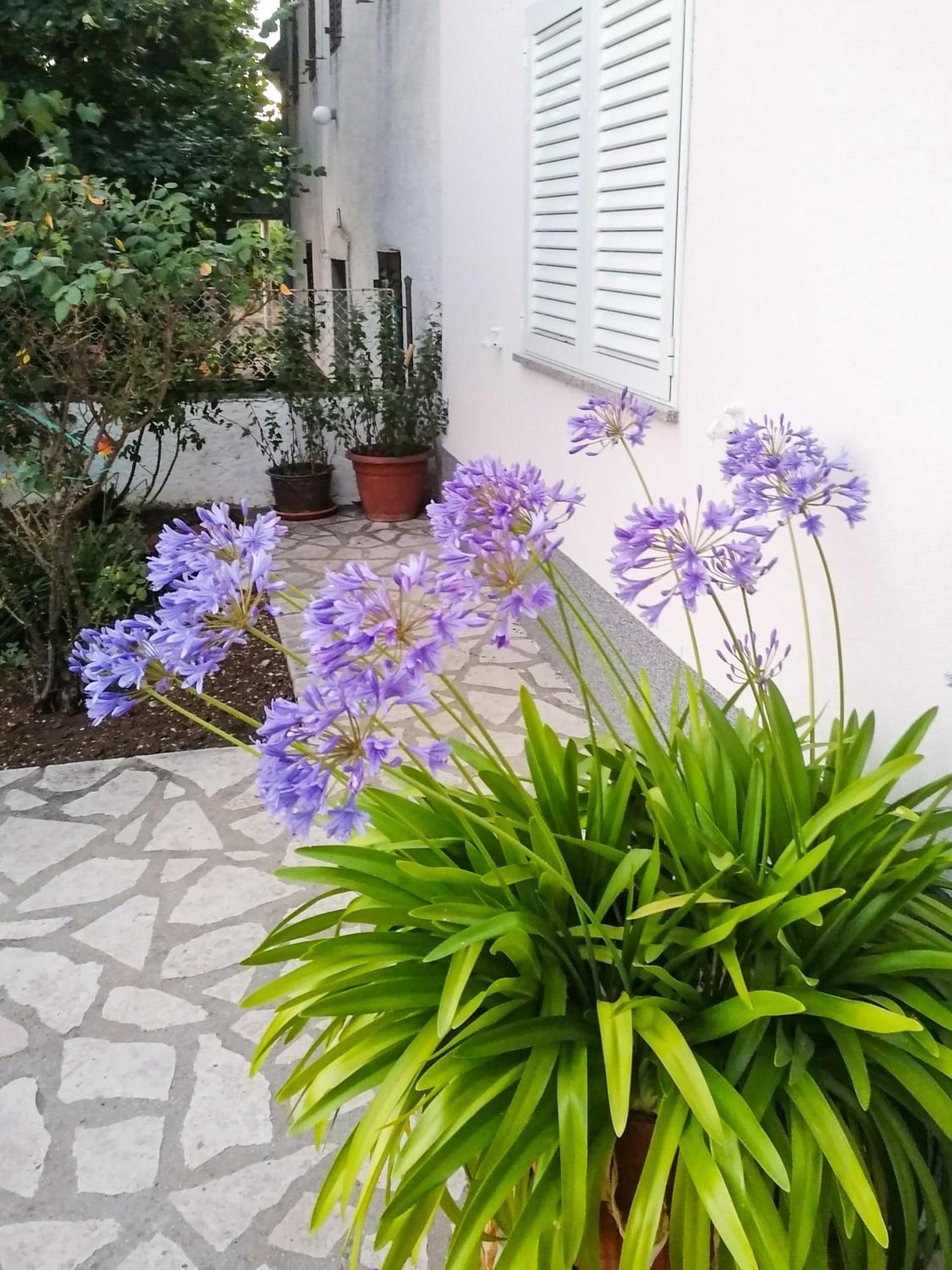 Apartman Lavanda Sa Bazenom I Okucnicom 4* Hreljin Εξωτερικό φωτογραφία